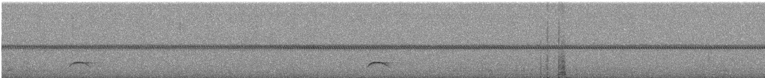 Large Elaenia - ML644684022