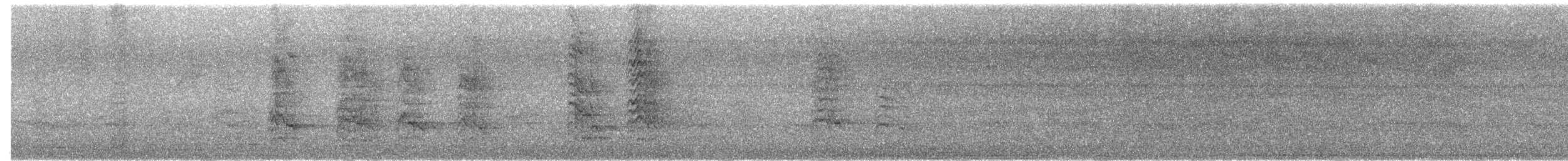 rødflekkparakitt - ML644684023