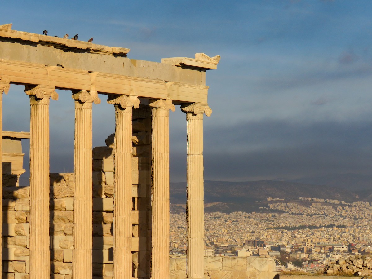 Хөхвөр тагтаа (суурин газрын) - ML644684099