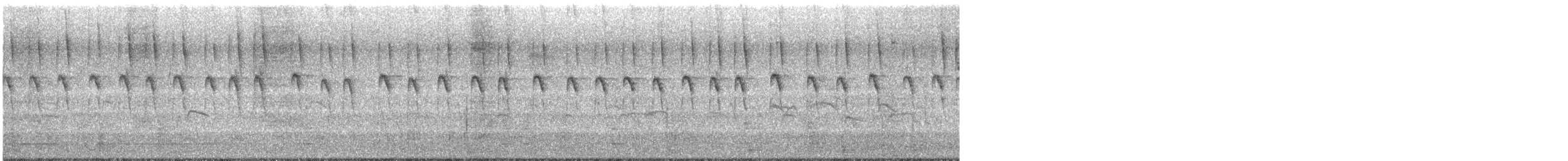 Scaly-breasted Munia - ML644684101