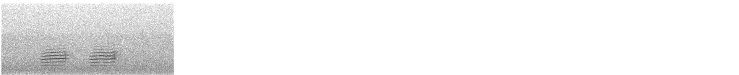 brhlík americký - ML644684172