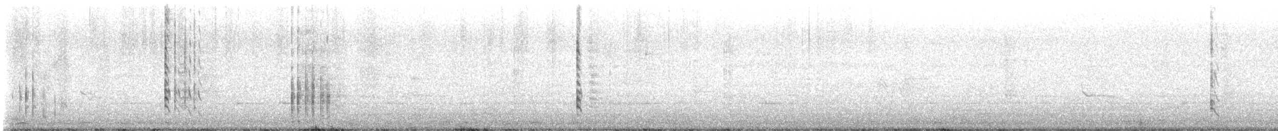 Tasmanian Nativehen - ML644684680