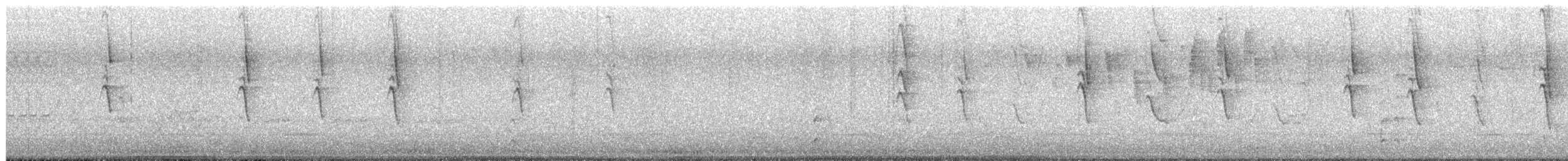 Медник блідий - ML644684861