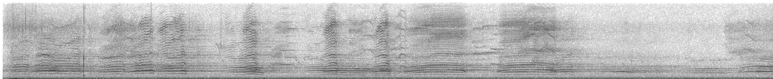 Avustralya Kuzgunu - ML644685363