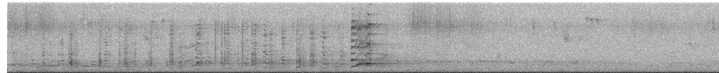 Noisy Friarbird - ML644685437