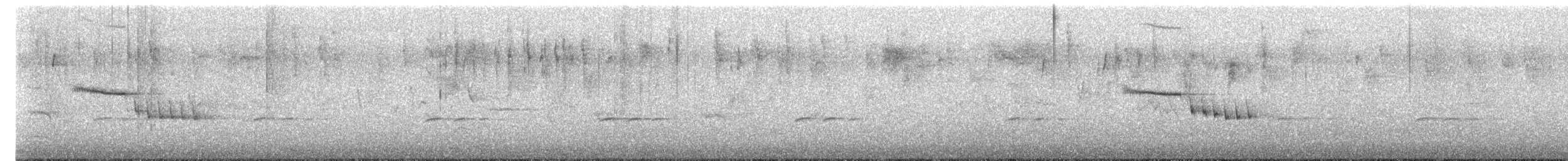 Brown Thornbill - ML644685562