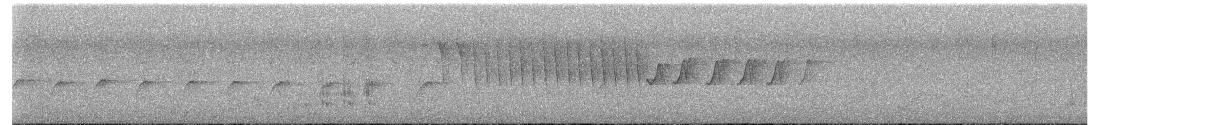 Tasmanian Scrubwren - ML644685633