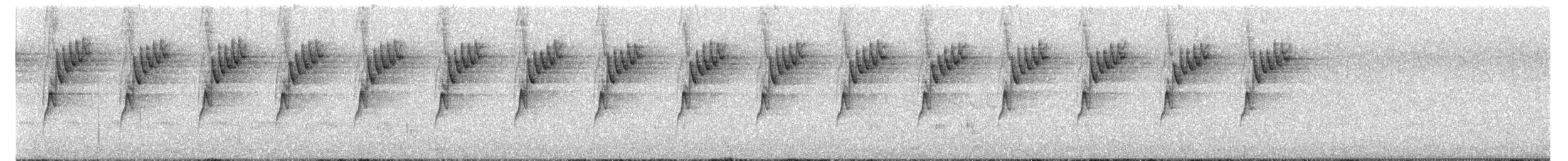 Tasmanian Scrubwren - ML644685634