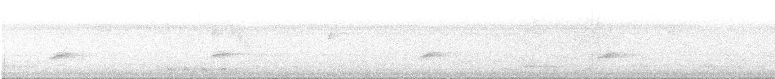 Toquí Flanquirrufo - ML644685720