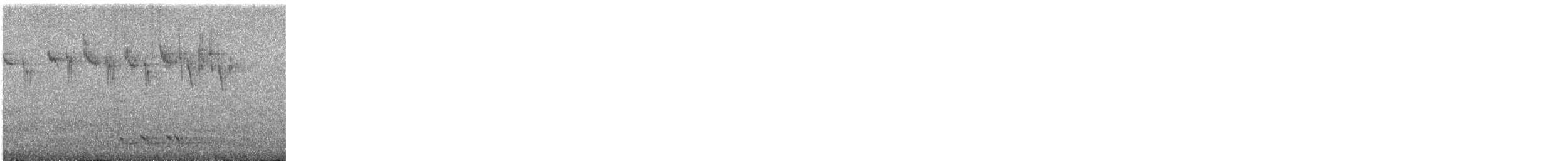 Пёстрая иволга - ML644685857