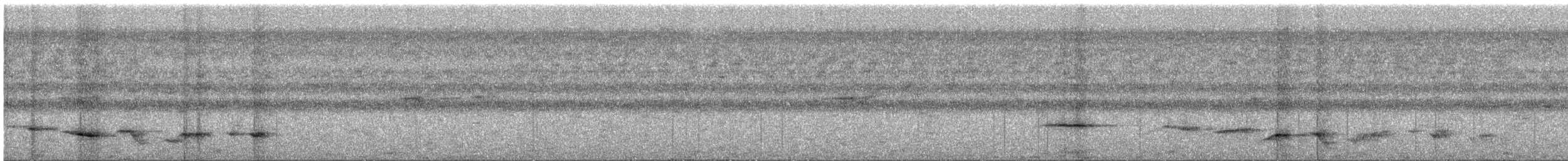 White-rumped Shama - ML644686254