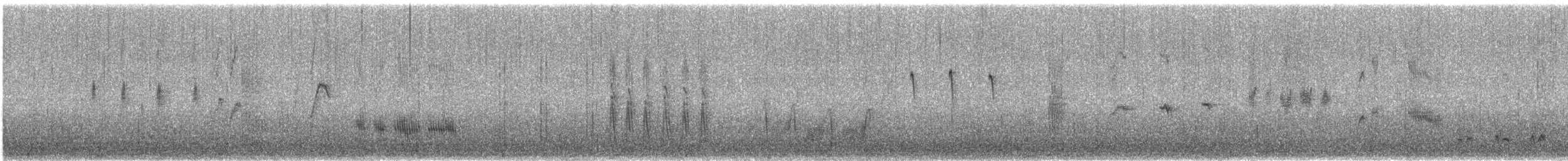 Mirlo Acuático Norteamericano - ML644686317