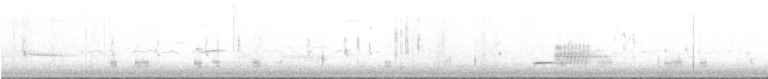 Canard chipeau - ML644686656