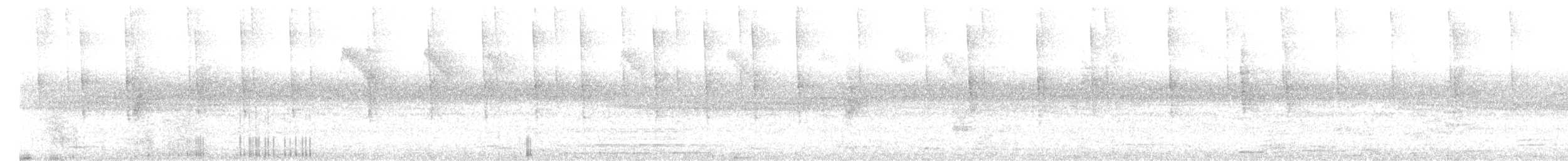 птица sp. - ML644686741