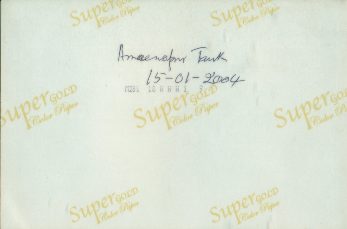 Asian Woolly-necked Stork - ML644687737