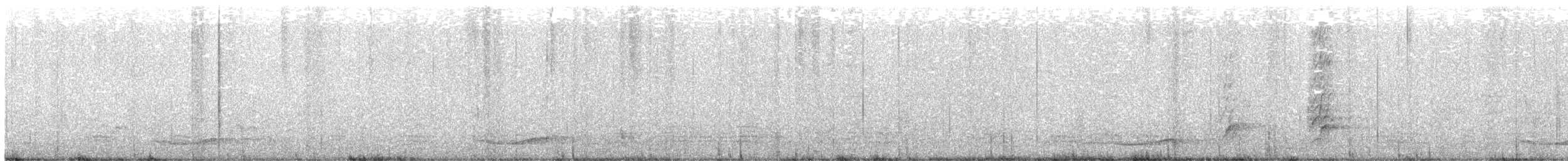 grånebbkoel - ML644688275