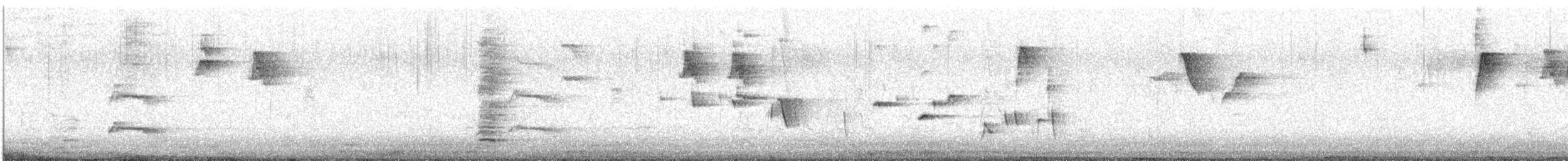 Чёрно-белая веерохвостка - ML644689332