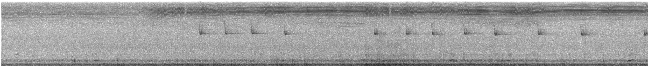 Striped Prinia - ML644689454