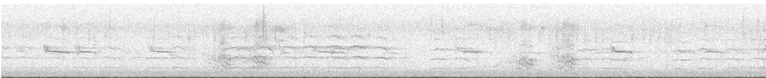 Black-faced Cuckooshrike - ML644689507