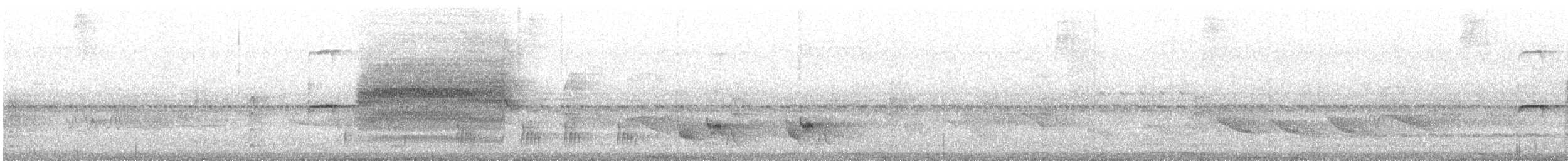 Ochre-rumped Antbird - ML644689627