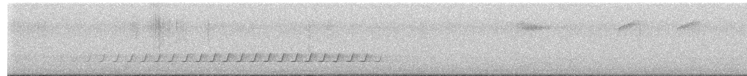 White-throated Treecreeper - ML644689629