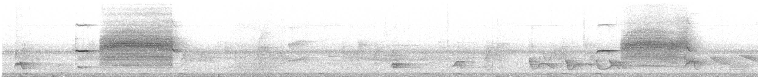 Ochre-rumped Antbird - ML644689639