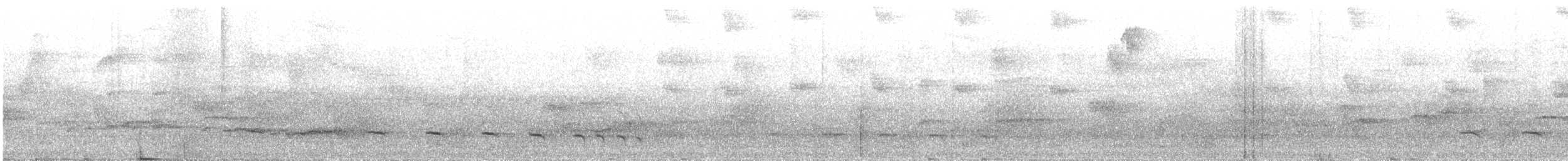 Blaubauchpapagei - ML644689664