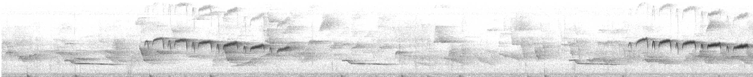 Squamate Antbird - ML644689668