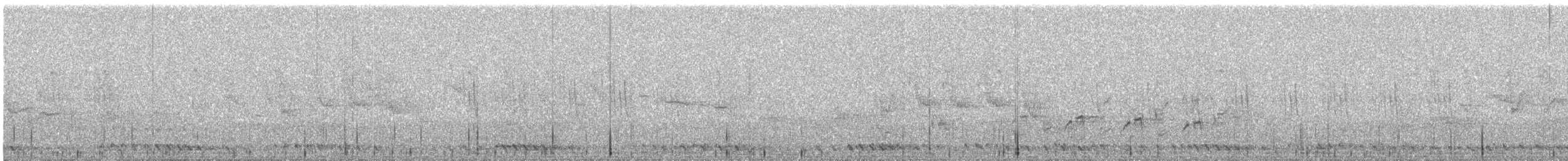 Striped Prinia - ML644689752