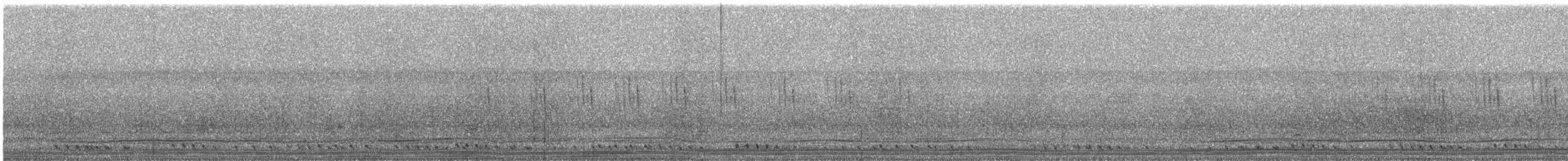 Striped Prinia - ML644689761