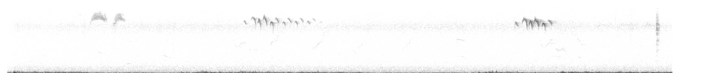 エミュームシクイ - ML644689837