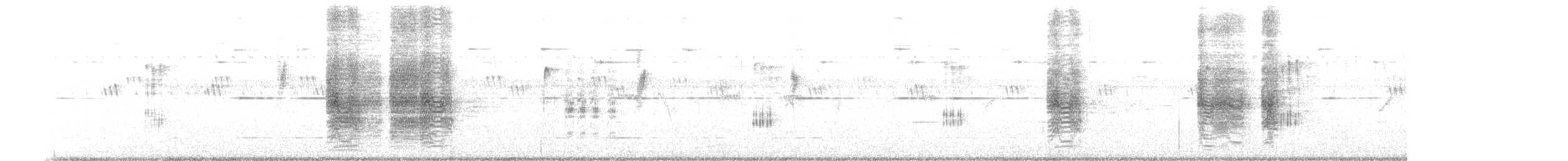 Black Drongo - ML644689999