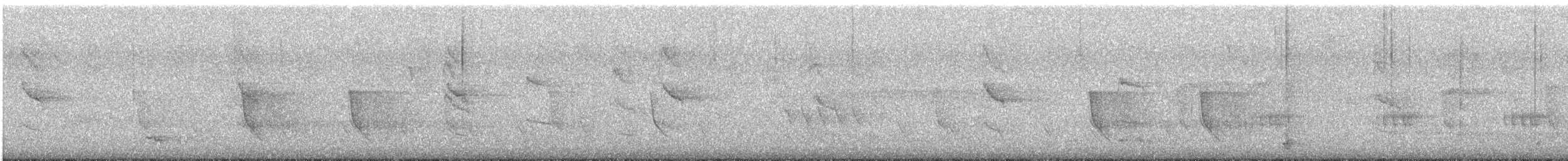 Eastern Whipbird - ML644690128