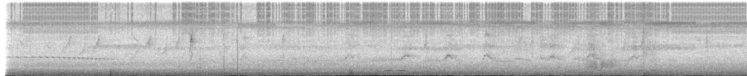 Kalapitari papargorria - ML644690132