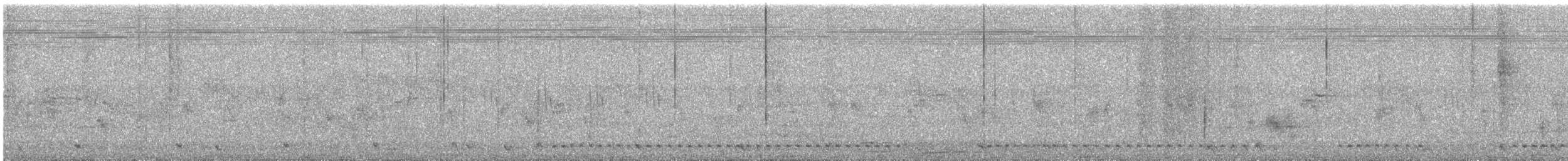 Striped Prinia - ML644690243