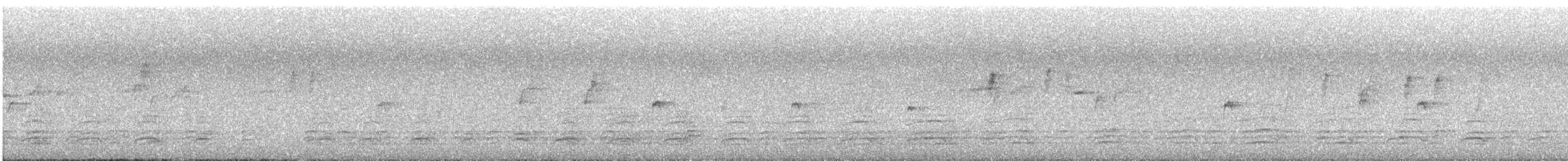 White-bellied Sea-Eagle - ML644690317