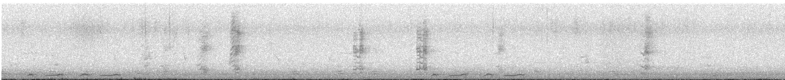 skjellryggdue - ML644690502