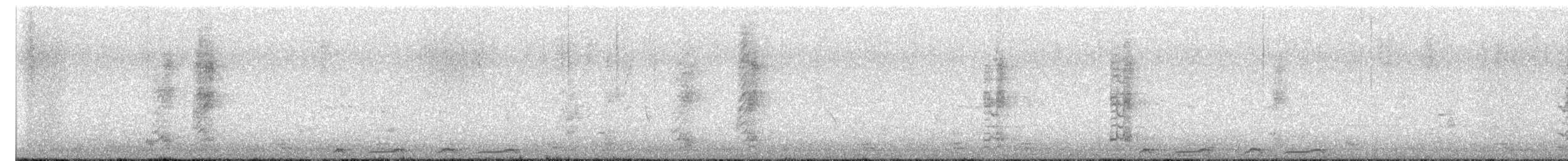 banksiahonningeter - ML644690506