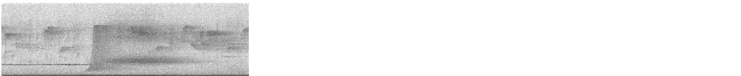 skjellbukparadisfugl - ML644690688