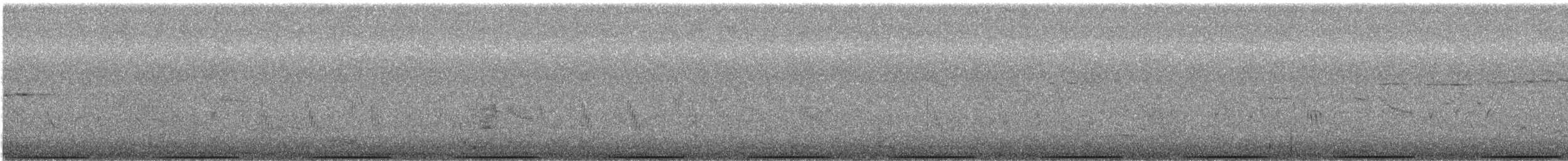 Painted Buttonquail - ML644690729