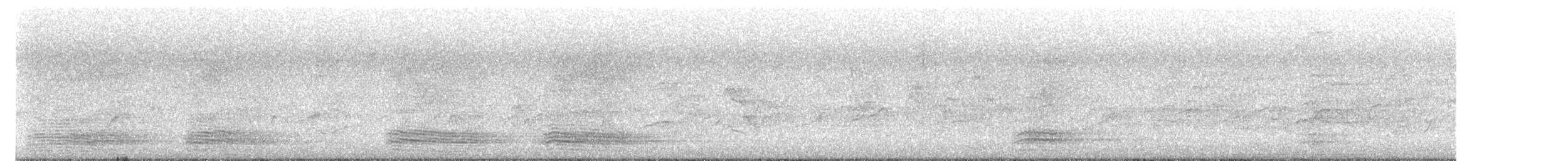 australkråke - ML644690736