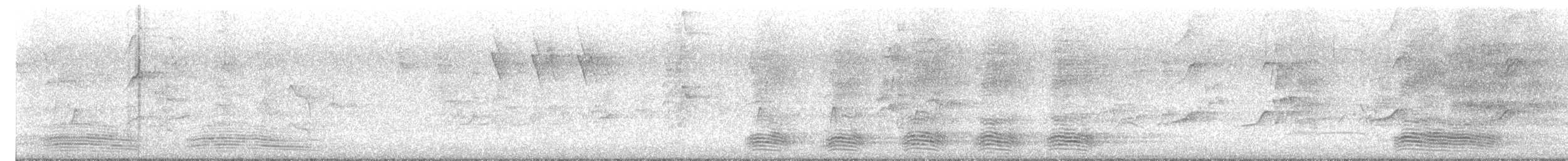 australkråke - ML644690737