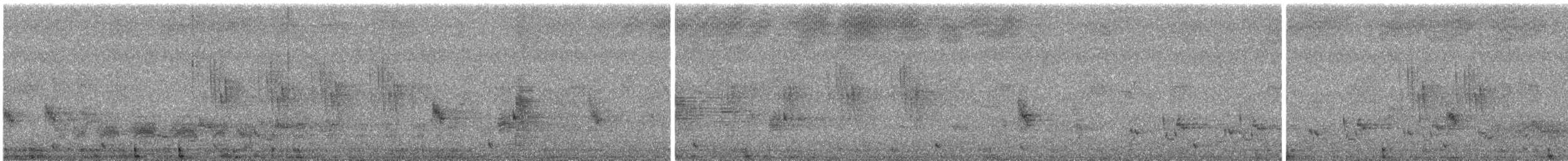 Striped Prinia - ML644690757