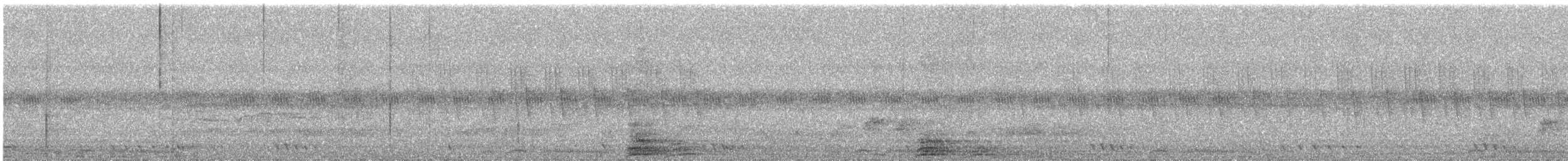 Striped Prinia - ML644690762