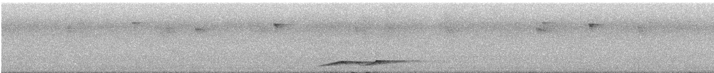 Noisy Pitta - ML644690877