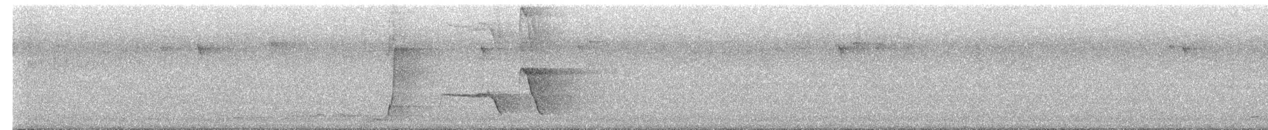 Eastern Whipbird - ML644690887