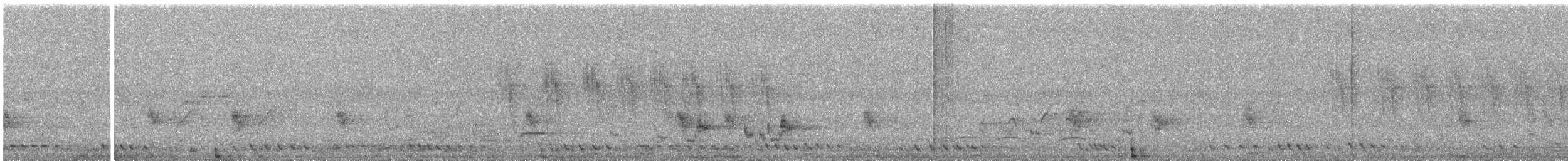 Striped Prinia - ML644690928