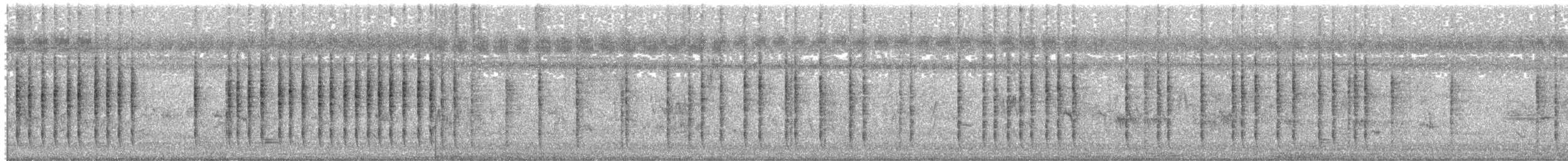 cvrčilka pruhovaná - ML644690935