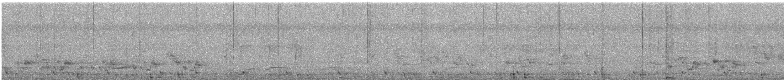 Striped Prinia - ML644690970