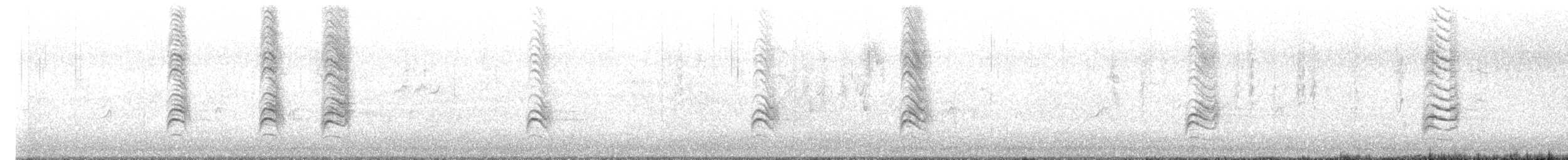 White-breasted Woodswallow - ML644690987